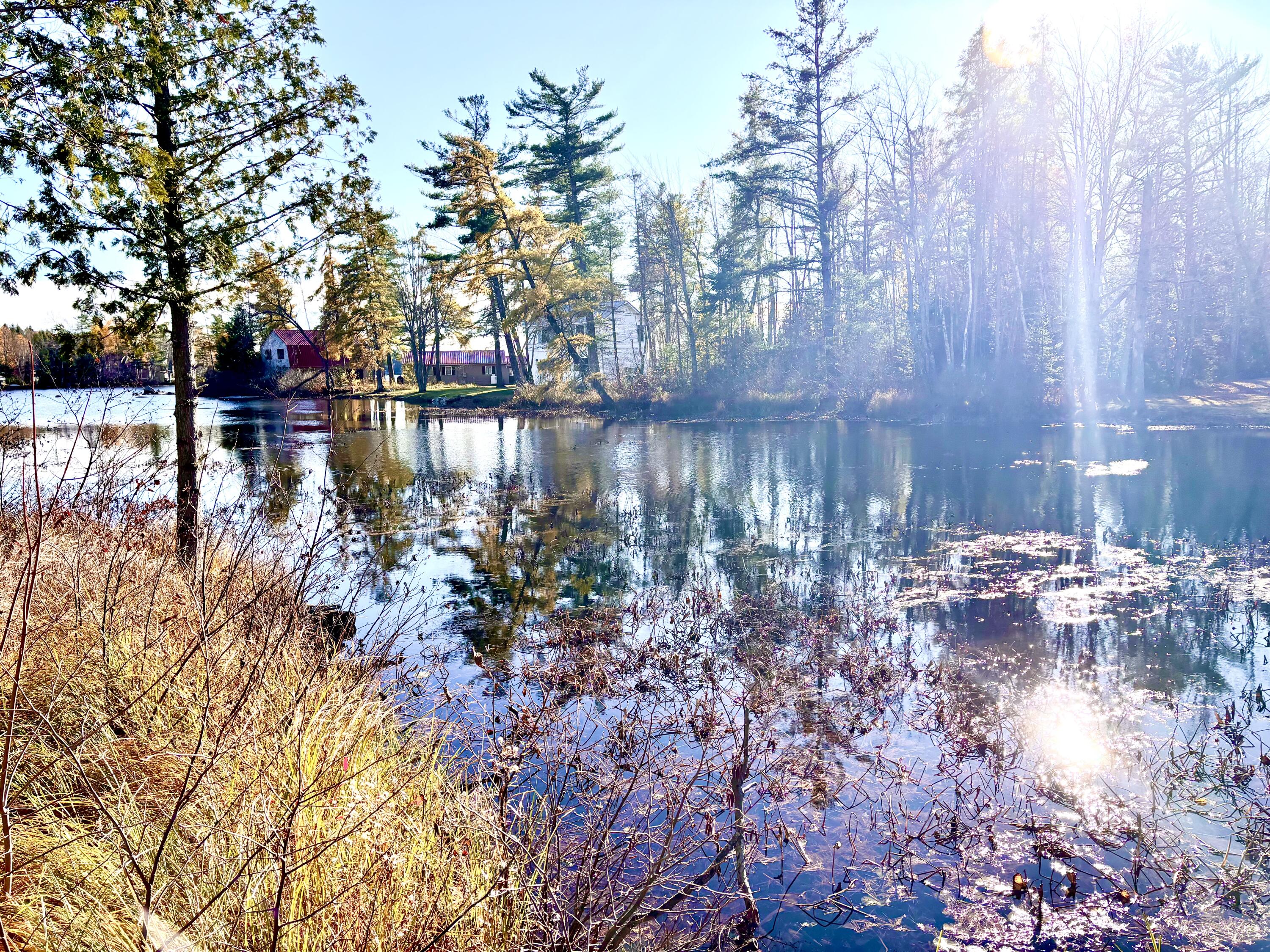 626 Millinocket Lake Road Millinocket, ME 04462 - Photo 9 of 37 IMG_4423