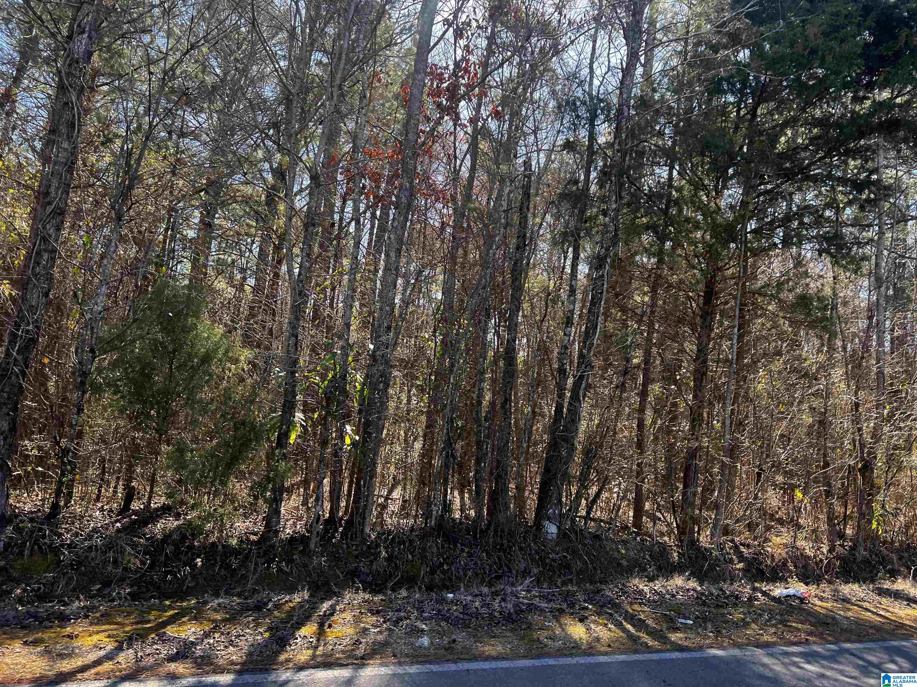 0 Wolf Creek Road North, Unit 10 ACRES Pell City, AL 35125 - Photo 8 of 15