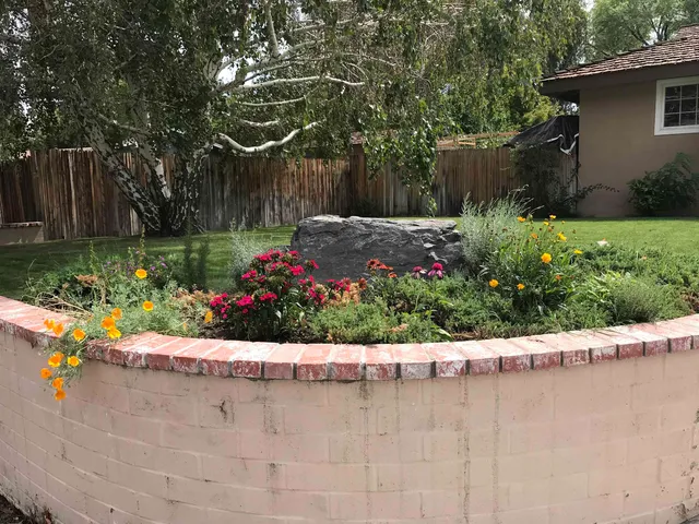 a view of a garden with flowers and trees