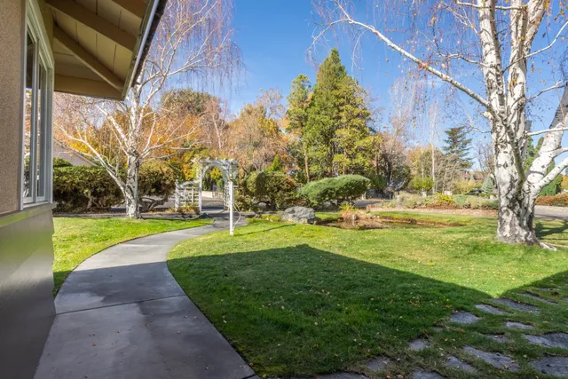 a view of a park with large trees