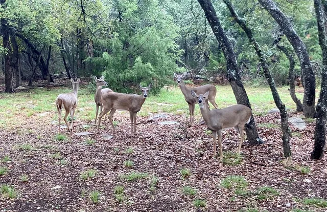 $849,900 | 422 Patricia Road, Georgetown, TX 78628