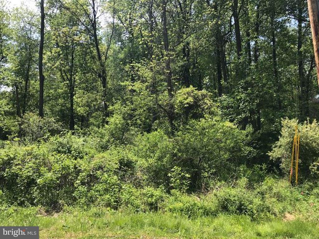 Lot 45 Company Farm Road Aspers, PA 17304 - Photo 2 of 4 Gallery Image 2