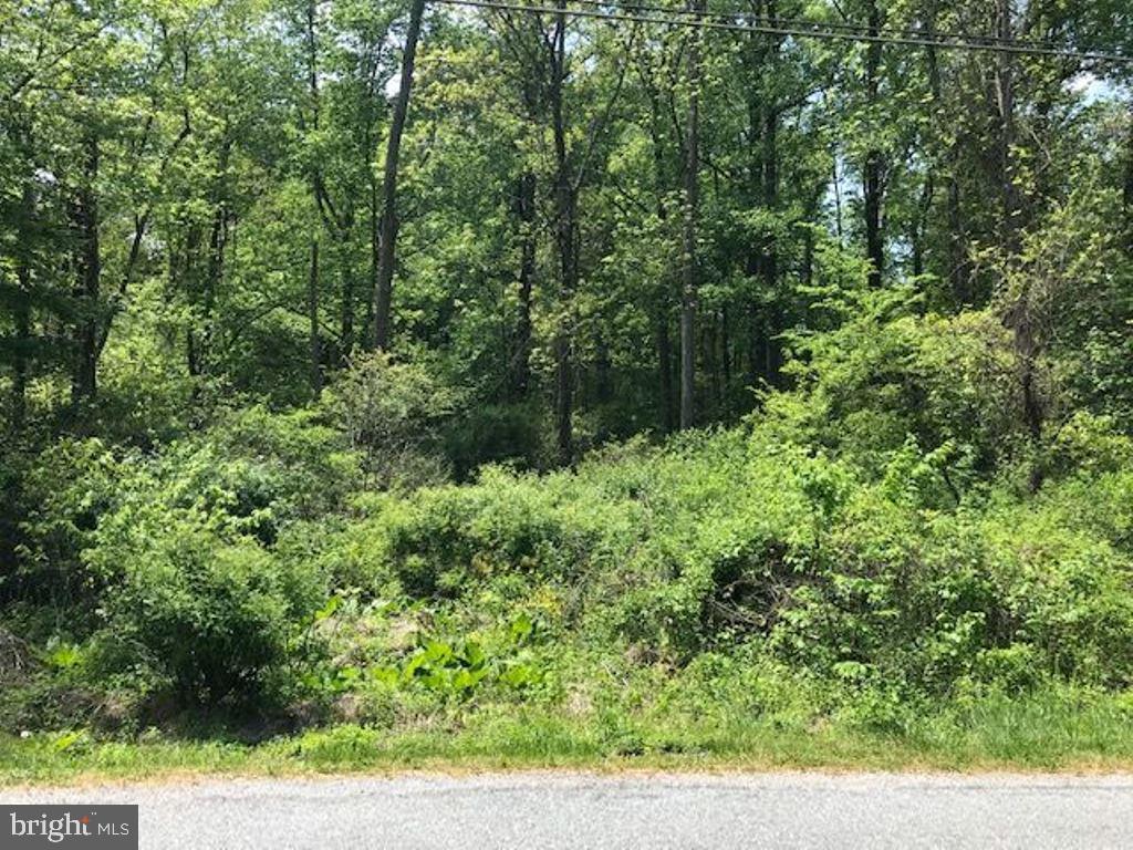 Lot 45 Company Farm Road Aspers, PA 17304 - Photo 3 of 4 Gallery Image 3