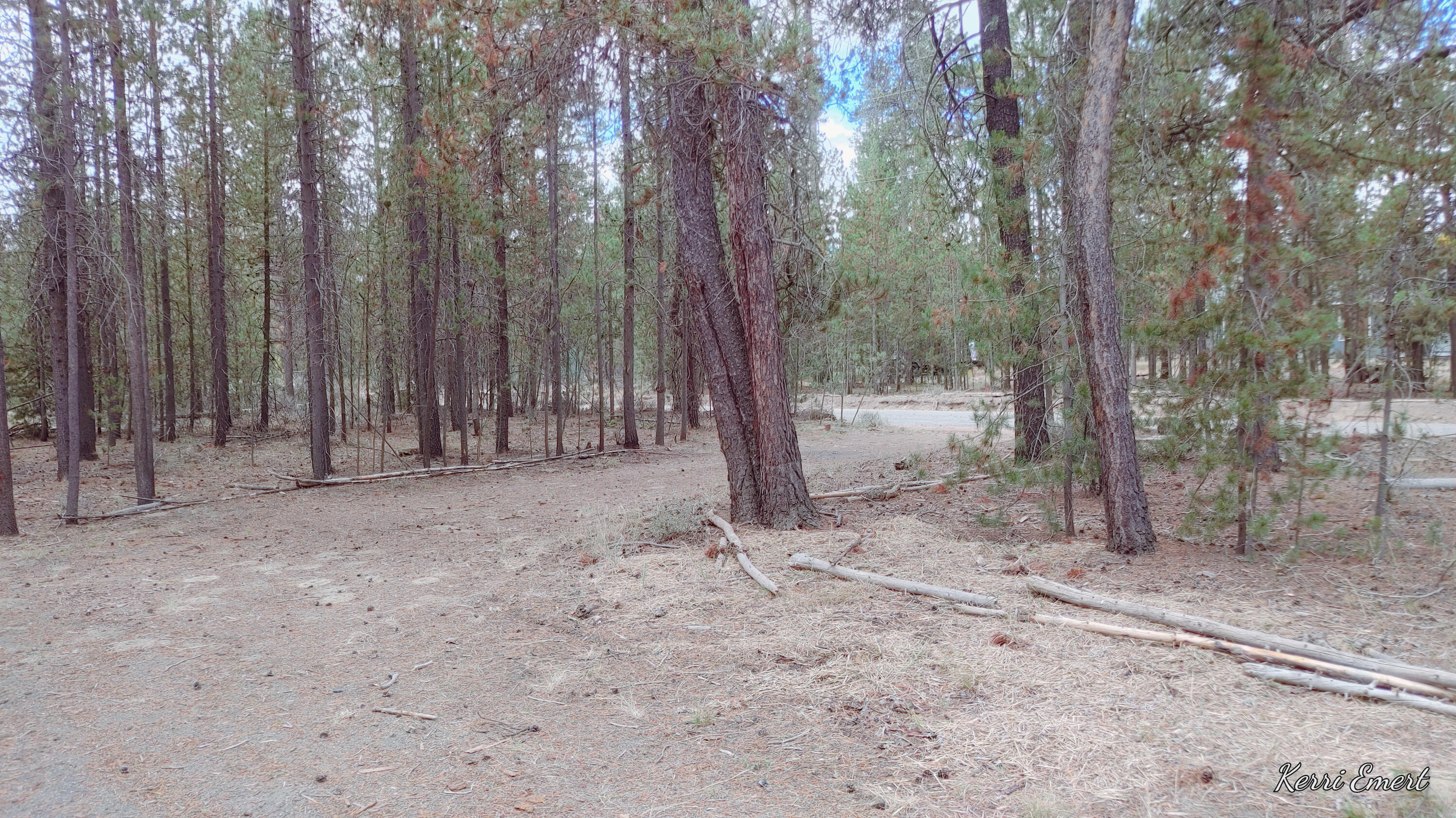 52266 Dustan Road La Pine, OR 97739 - Photo 4 of 8