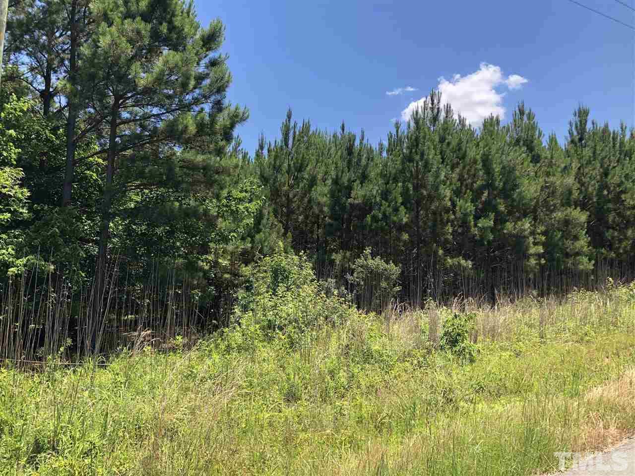 0 Mt Zion Church Road Apex, NC 27502 - Photo 1 of 2 a view of a garden