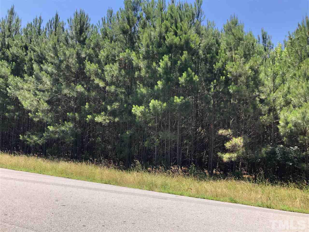 0 Mt Zion Church Road Apex, NC 27502 - Photo 2 of 2 a view of swimming pool and yard