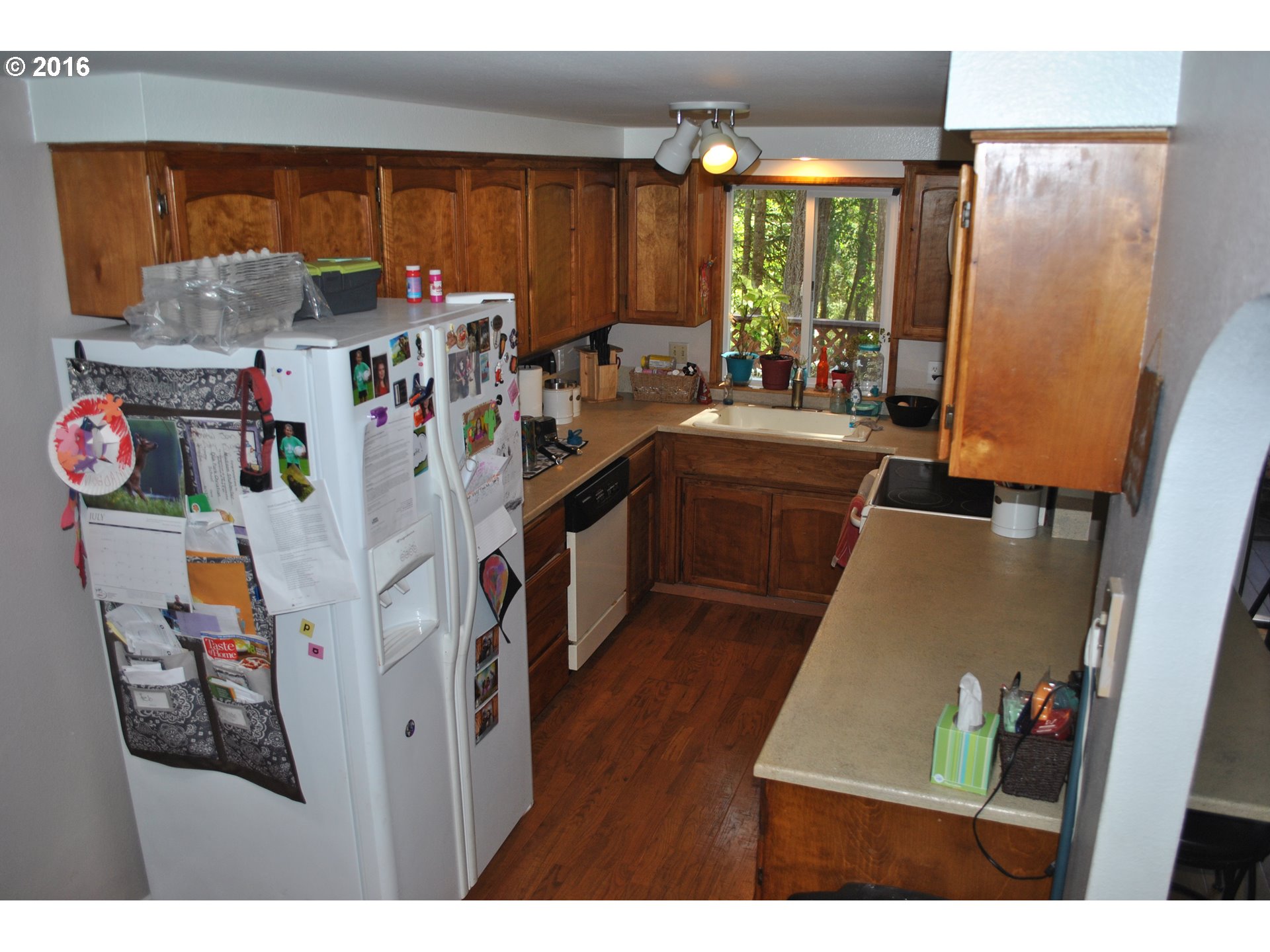 32727 Taylor Butte Road Cottage Grove, OR 97424 - Photo 3 of 20 Gallery Image 3