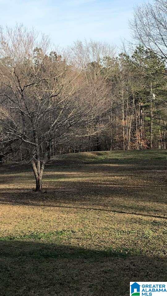1933 Owens Road Ashland, AL 36251 - Photo 12 of 12