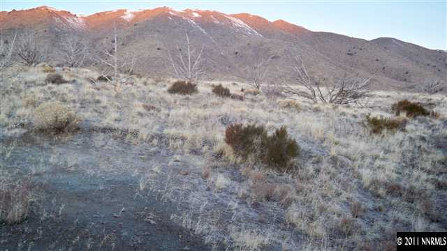 1240 Serpentine Road Reno, NV 89506 - Photo 11 of 13 a view of a dry field