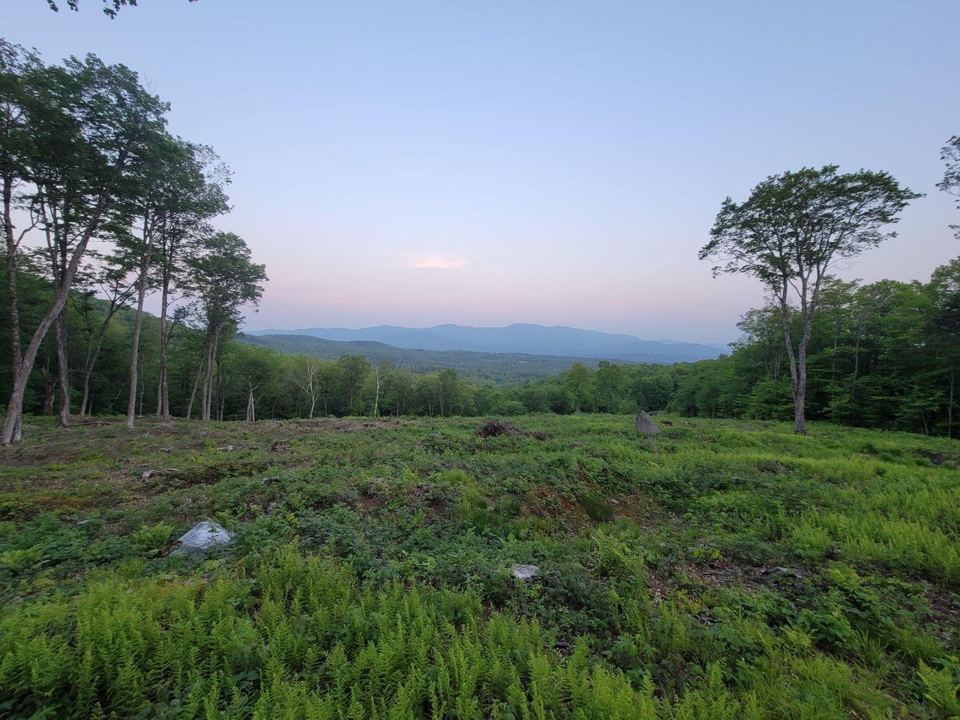817 Wade Pasture Road Stowe, VT 05672 - Photo 15 of 16 Gallery Image 15
