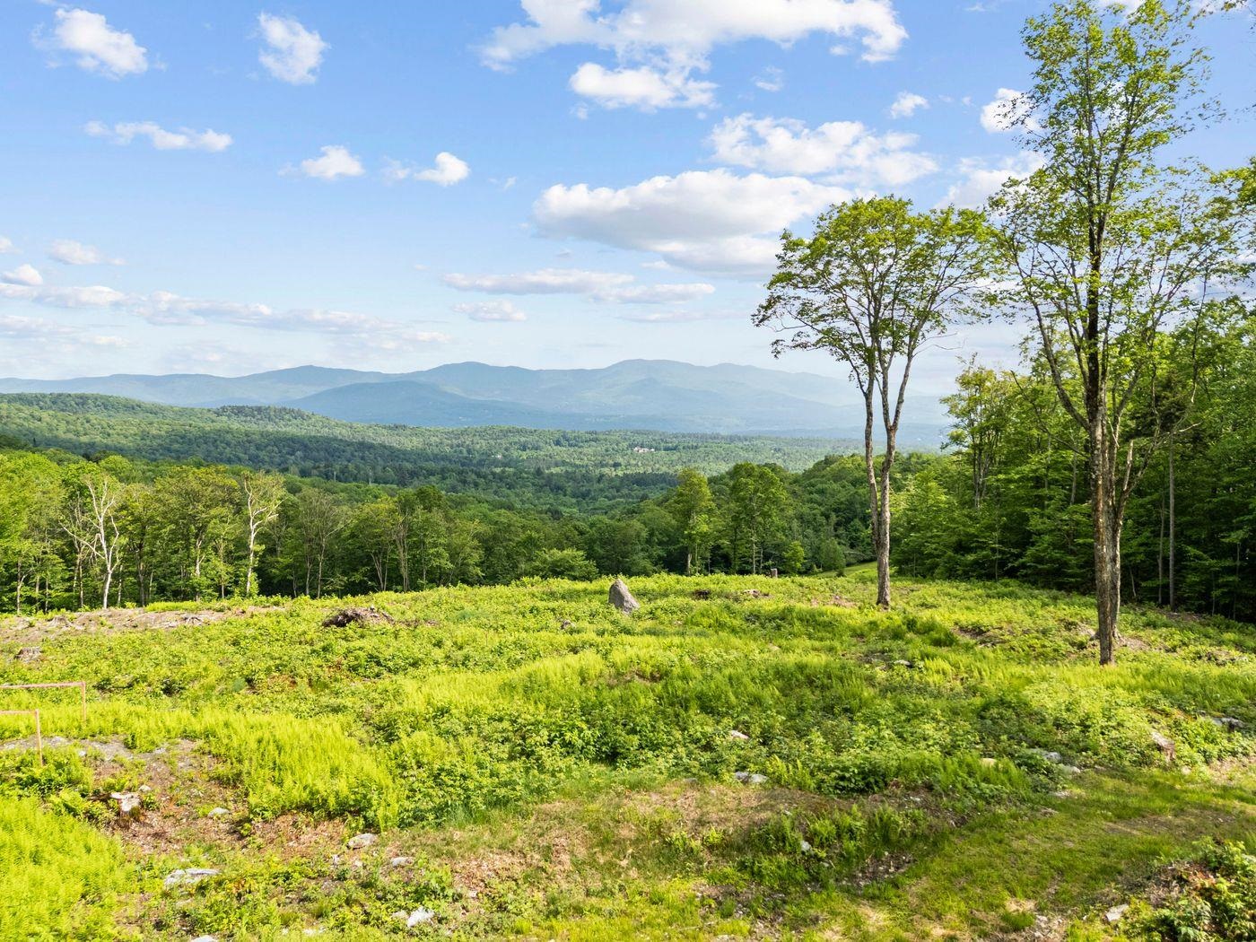 817 Wade Pasture Road Stowe, VT 05672 - Photo 2 of 16 Gallery Image 2