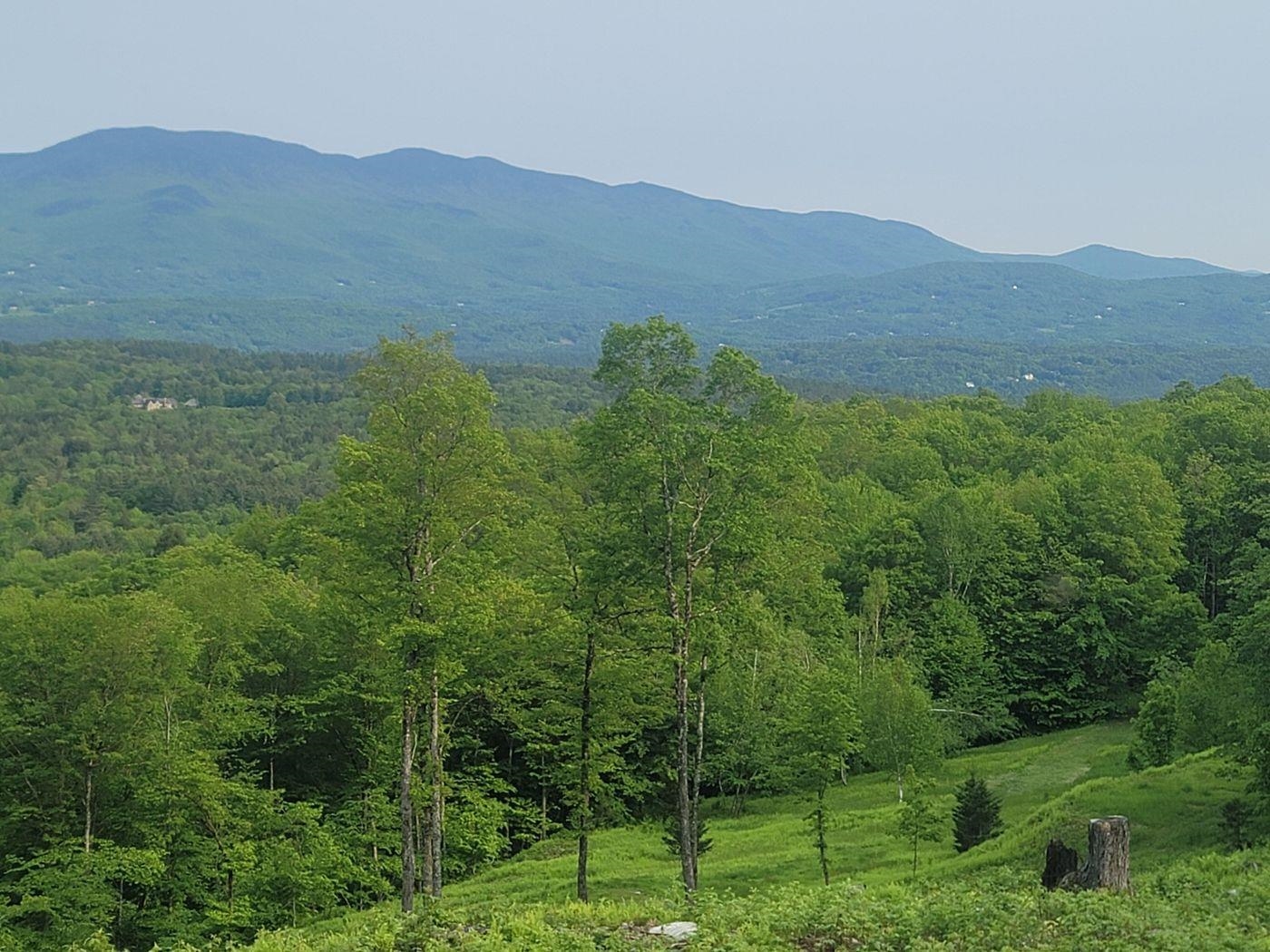 817 Wade Pasture Road Stowe, VT 05672 - Photo 7 of 16 Gallery Image 7
