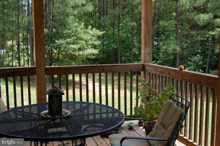 11042 Tower Road Unionville, VA 22567 - Photo 11 of 12 Screened-in Porch