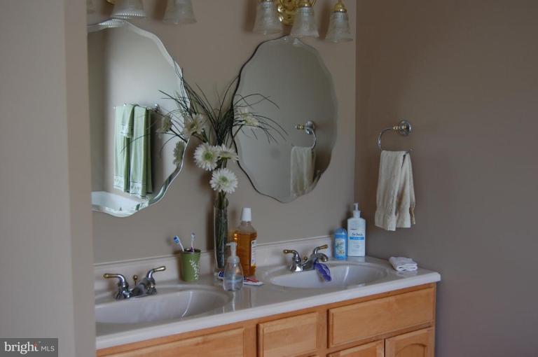 11042 Tower Road Unionville, VA 22567 - Photo 8 of 12 Master Bath