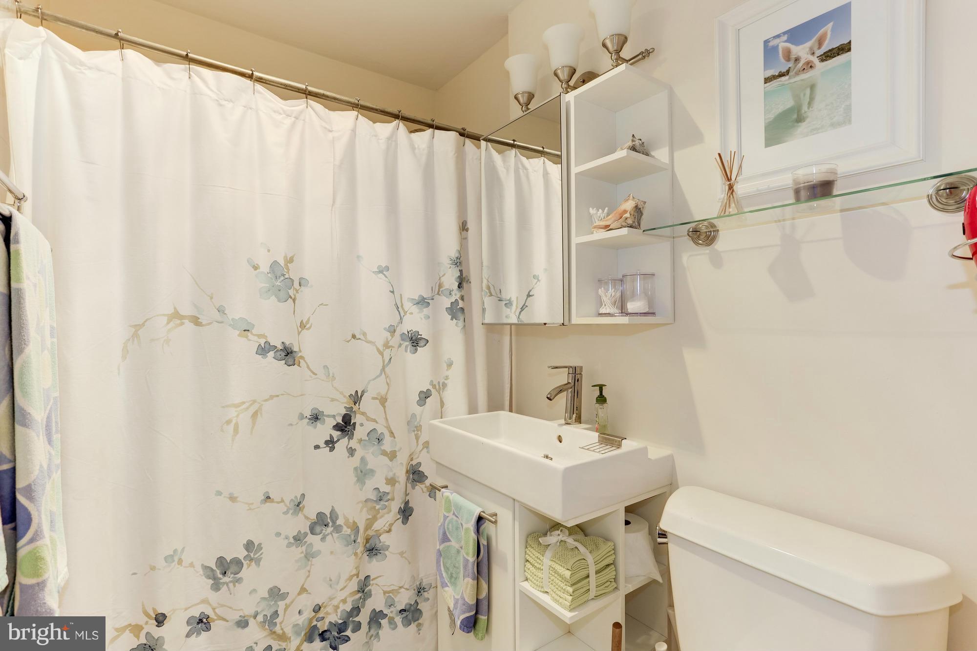 23 Ericsson Road Cabin John, MD 20818 - Photo 16 of 30 a bathroom with a sink a toilet and shower curtain