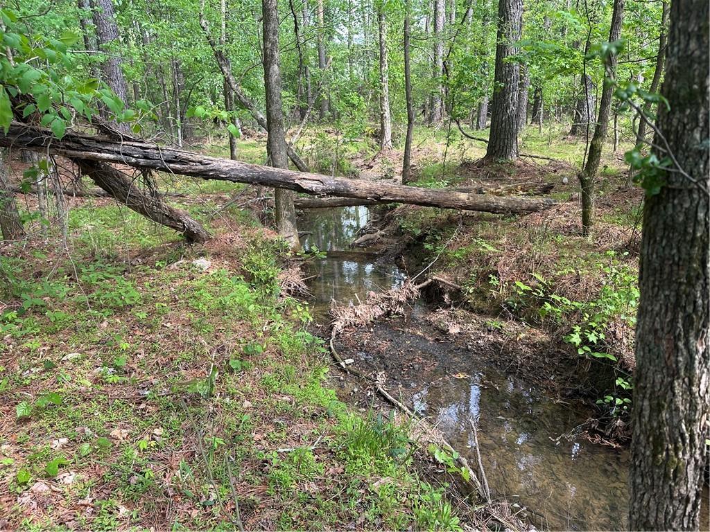106 Nelson Boulevard Northwest Rome, GA 30165 - Photo 6 of 14 a view of a forest with a tree