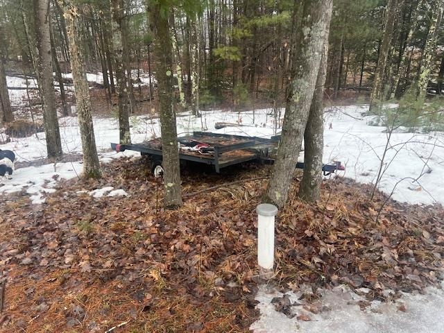 13885 Old 64 Road Mountain, WI 54149 - Photo 9 of 13