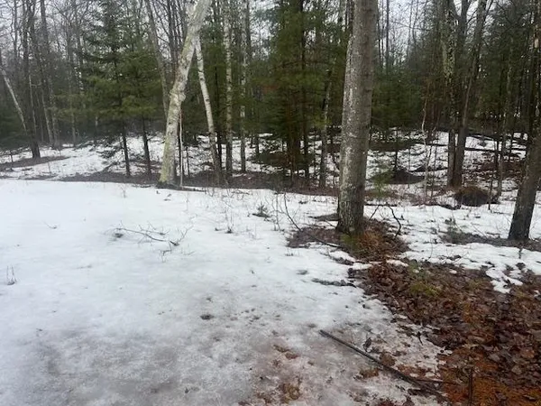 $89,900 | 13885 Old 64 Road, Mountain, WI 54149