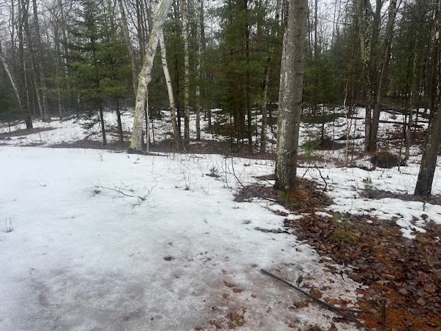 13885 Old 64 Road Mountain, WI 54149 - Photo 10 of 13