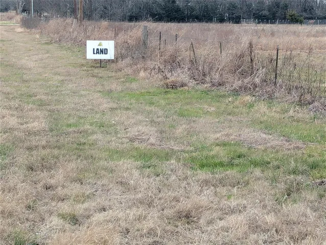a view of a dry yard with trees