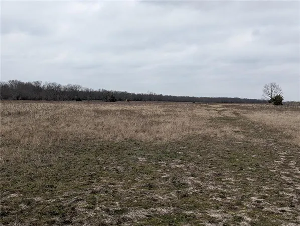 a view of a yard with wooden fence