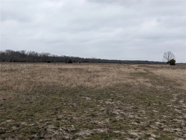 a view of a yard with wooden fence
