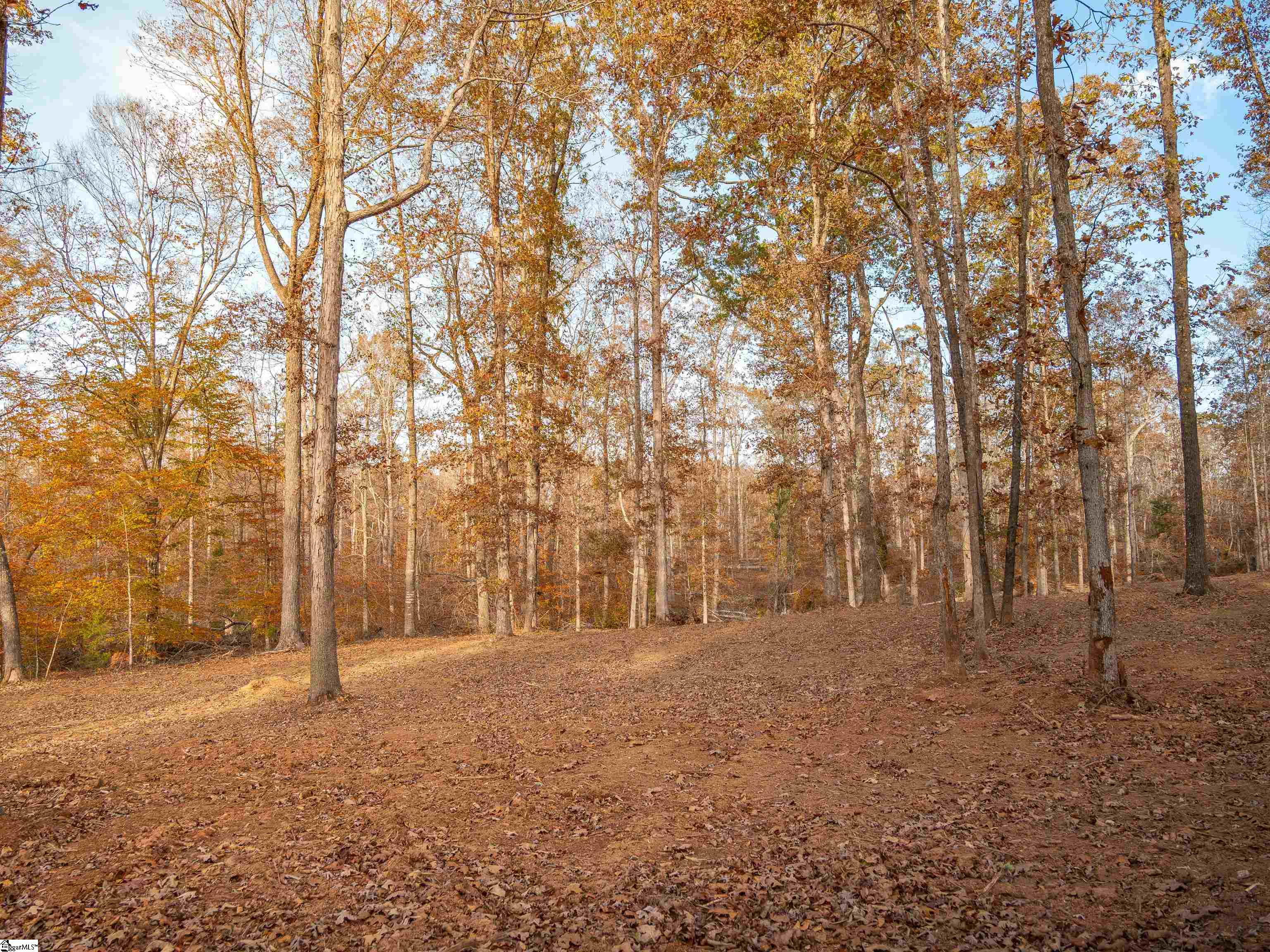 253 West Chapman Road, Unit LOT 8 Belton, SC 29627 - Photo 15 of 23