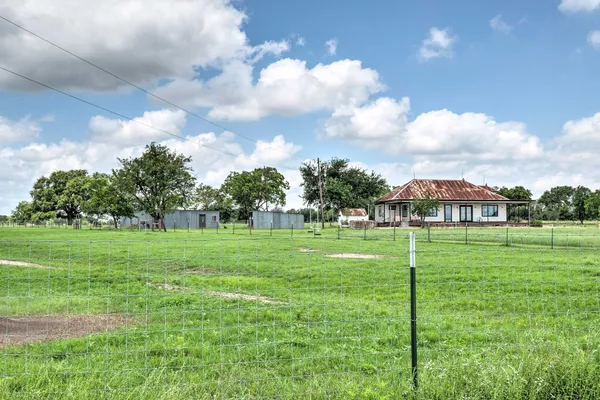 a view of a big yard with plants and large trees