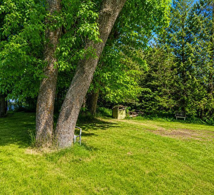 12795 183rd Street Cold Spring, MN 56320 - Photo 5 of 18