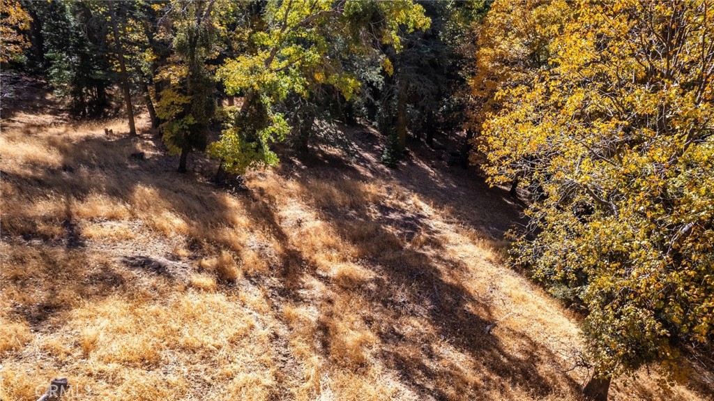 0 Mojave Road Cedarpines Park, CA 92322 - Photo 14 of 41