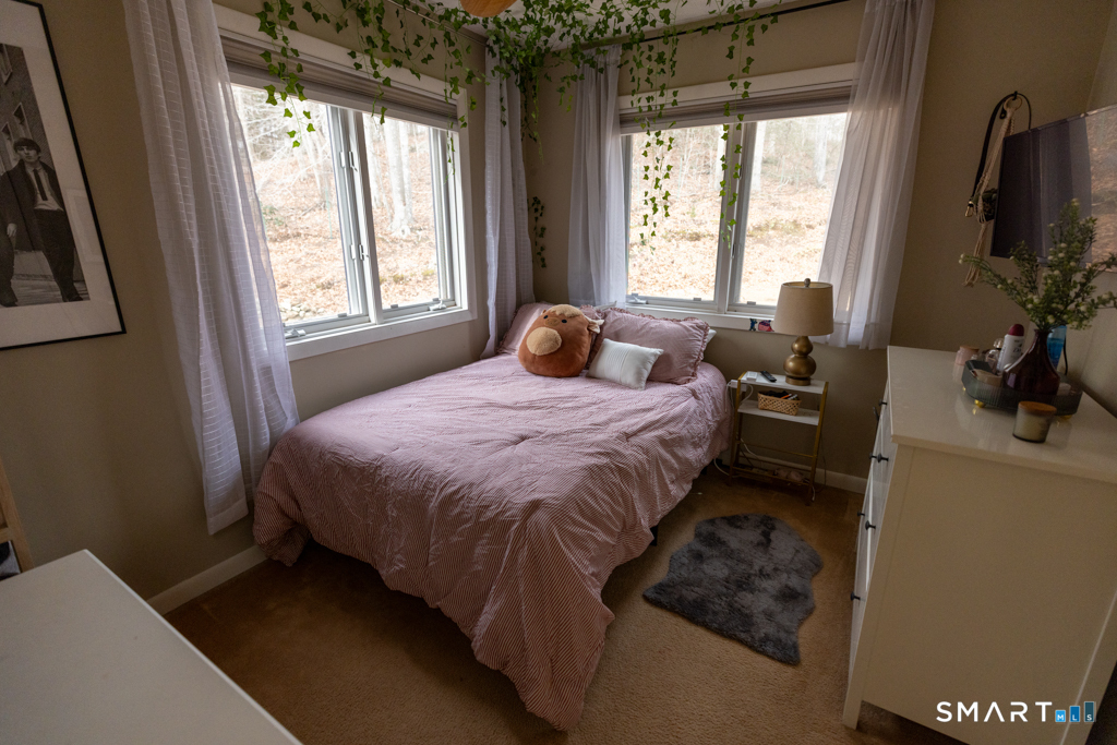 361 Mt Parnassus Road East Haddam, CT 06423 - Photo 23 of 40