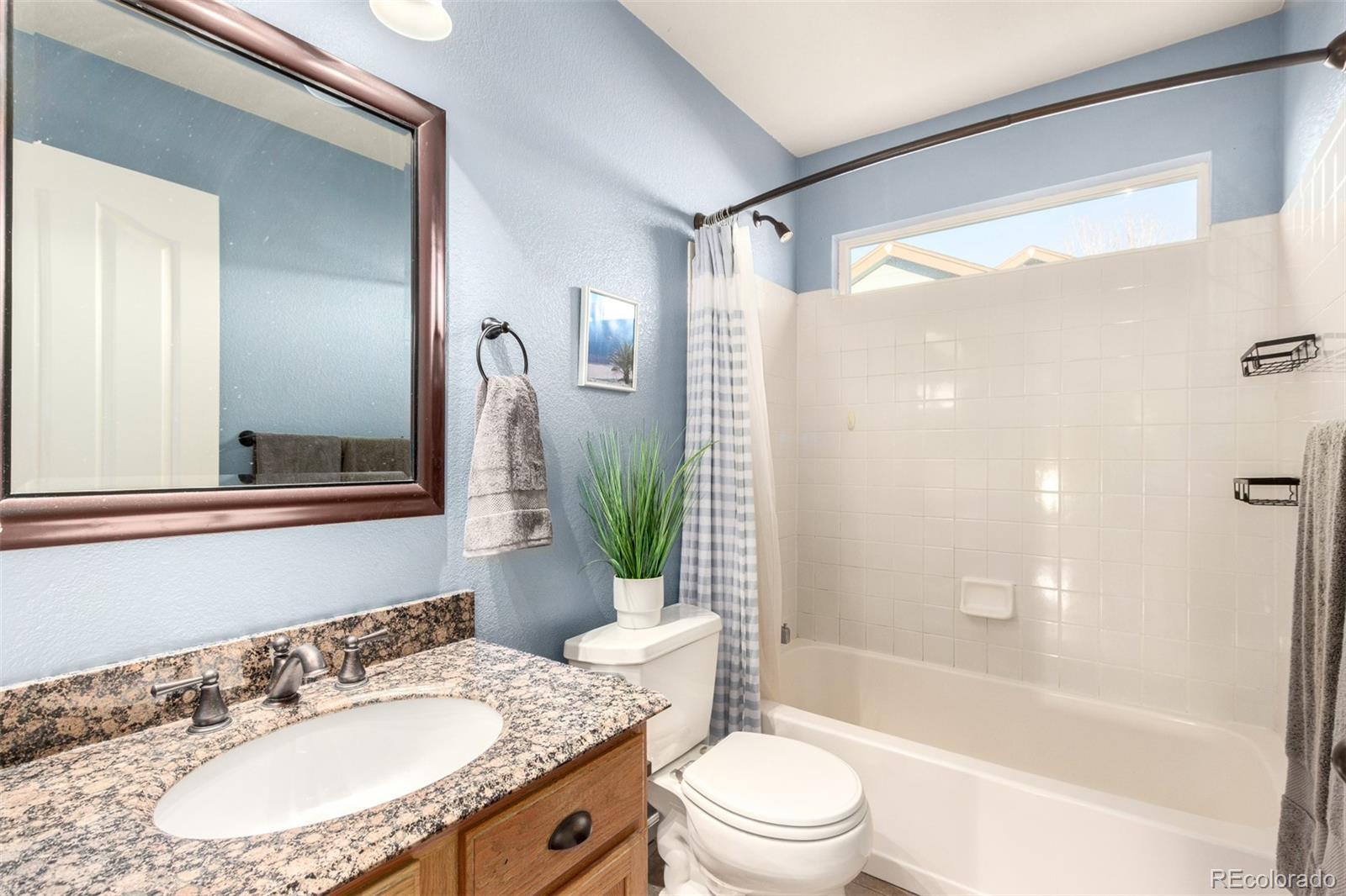 2627 Baneberry Lane Highlands Ranch, CO 80129 - Photo 26 of 34