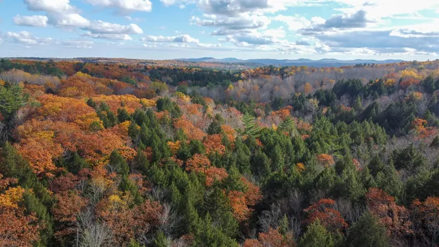 $43,500 | Lot 2 Darci Lane, Montville, ME 04941