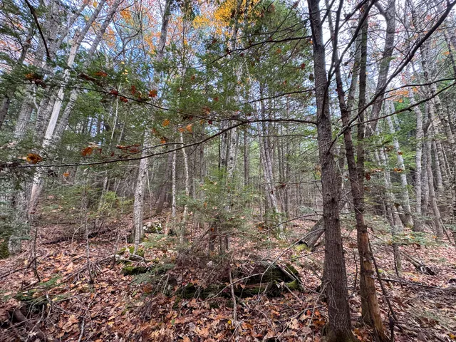 $43,500 | Lot 2 Darci Lane, Montville, ME 04941