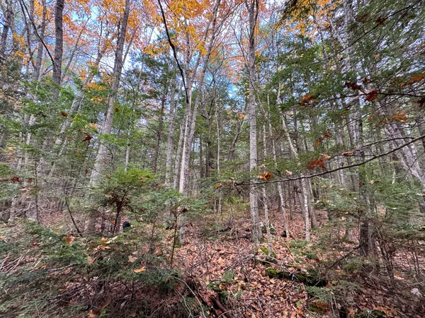 $43,500 | Lot 2 Darci Lane, Morrill, ME 04952