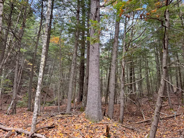 $43,500 | Lot 2 Darci Lane, Morrill, ME 04952