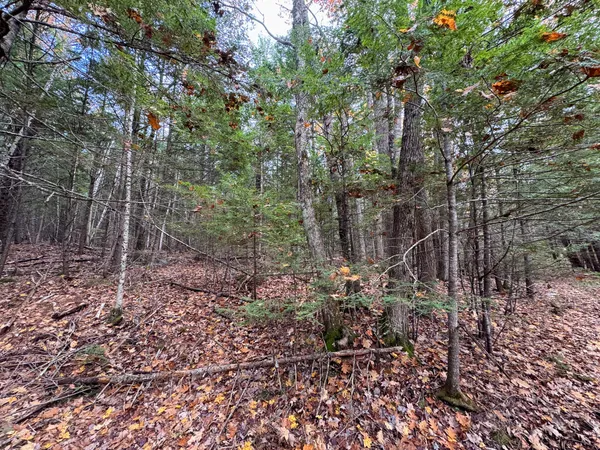 $43,500 | Lot 2 Darci Lane, Morrill, ME 04952