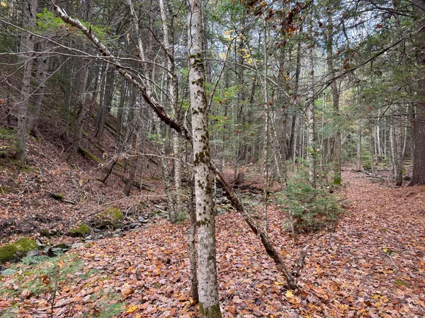 $43,500 | Lot 2 Darci Lane, Morrill, ME 04952