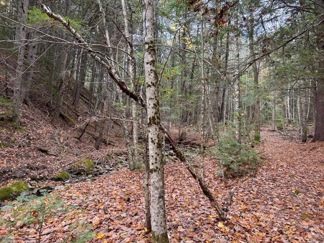 $43,500 | Lot 2 Darci Lane, Montville, ME 04941