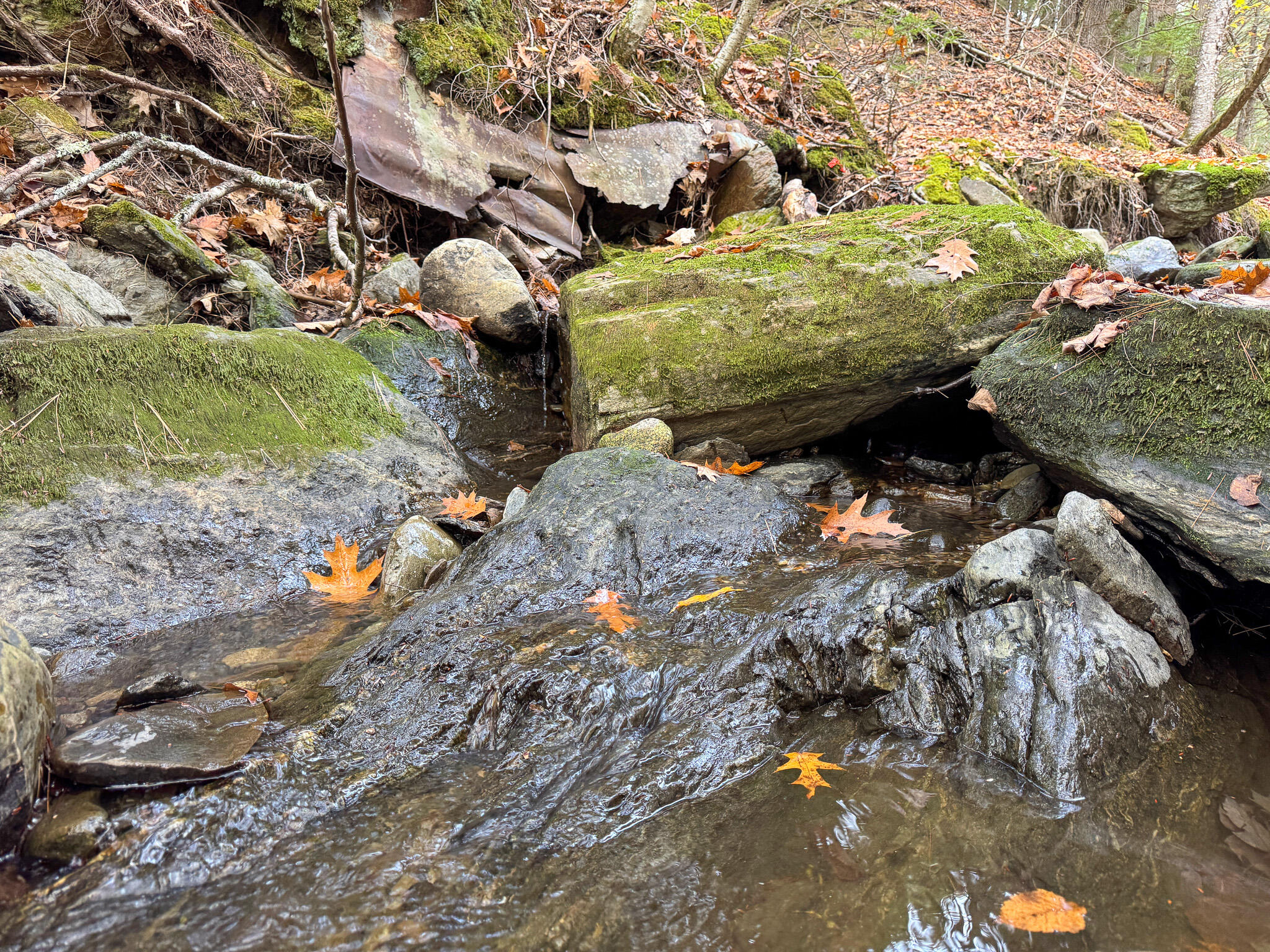 Lot 2 Darci Lane Morrill, ME 04952 - Photo 17 of 18 IMG_0164