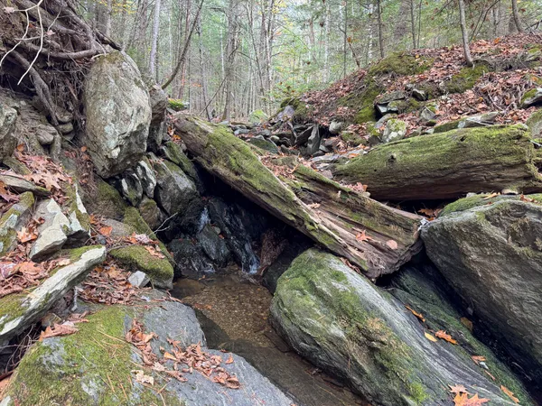 $43,500 | Lot 2 Darci Lane, Morrill, ME 04952