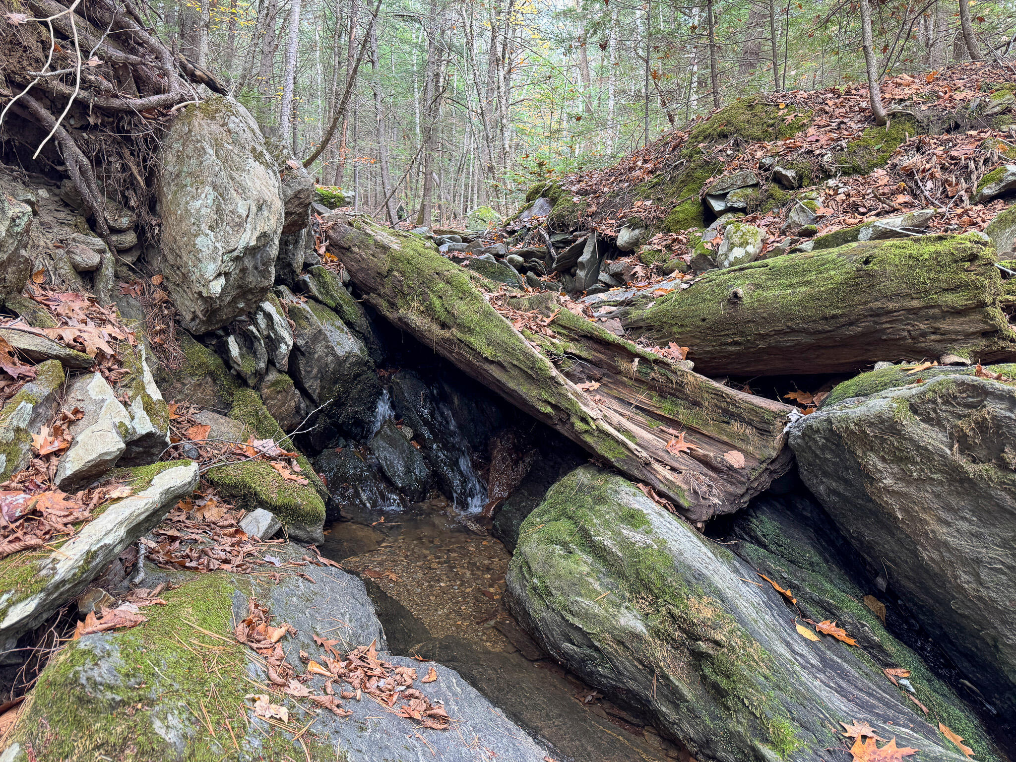 Lot 2 Darci Lane Morrill, ME 04952 - Photo 18 of 18 IMG_0165