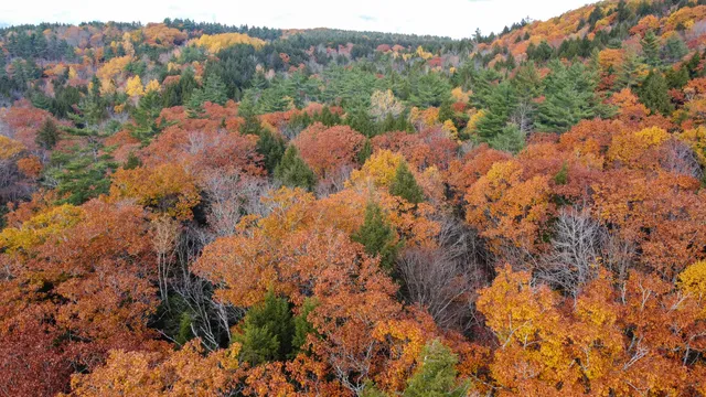 $43,500 | Lot 2 Darci Lane, Montville, ME 04941