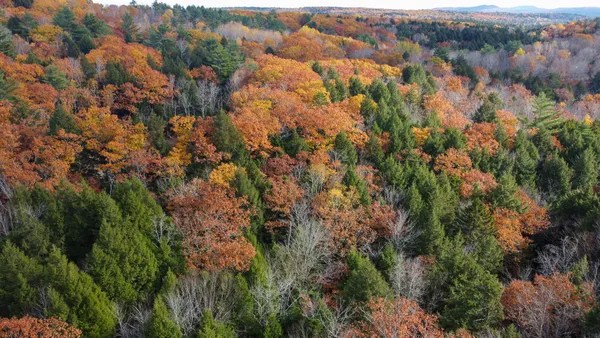 $43,500 | Lot 2 Darci Lane, Morrill, ME 04952