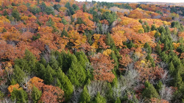 $43,500 | Lot 2 Darci Lane, Morrill, ME 04952