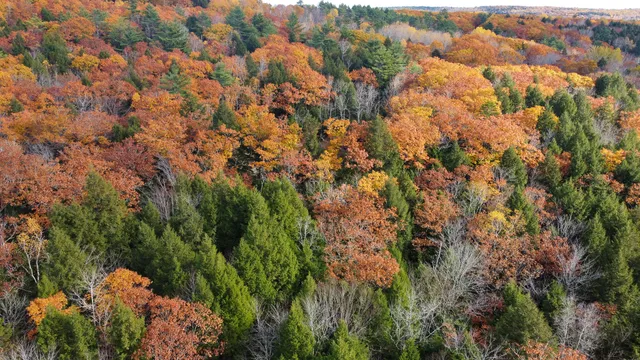 $43,500 | Lot 2 Darci Lane, Montville, ME 04941