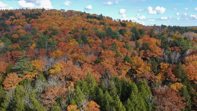 $43,500 | Lot 2 Darci Lane, Montville, ME 04941