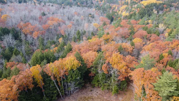 $43,500 | Lot 2 Darci Lane, Morrill, ME 04952
