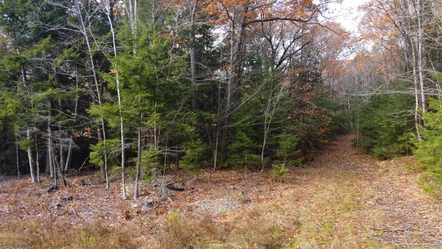 $43,500 | Lot 2 Darci Lane, Montville, ME 04941