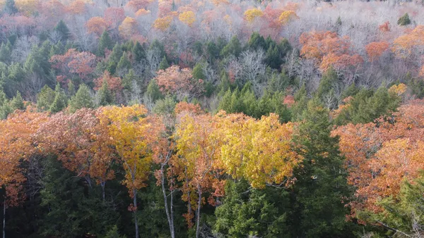 $43,500 | Lot 2 Darci Lane, Morrill, ME 04952